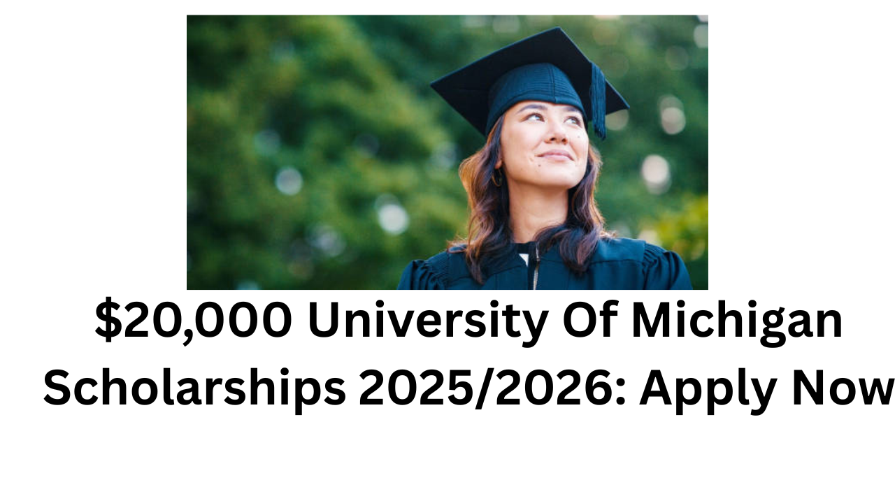 University Of Michigan Scholarships 